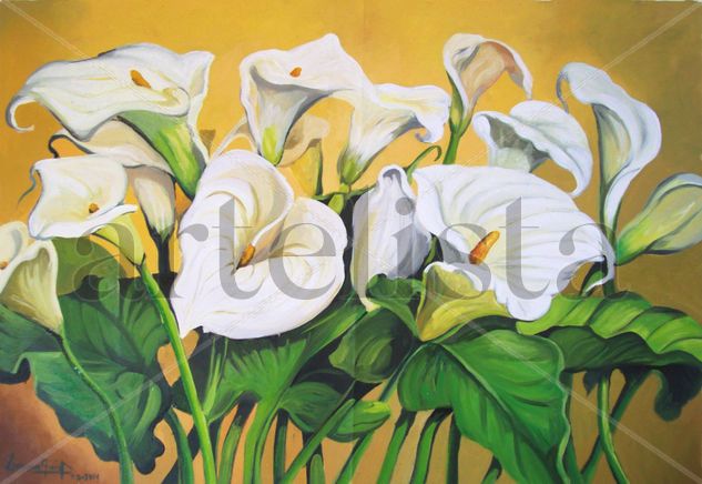 ALCATRACES Oil Canvas Floral Painting