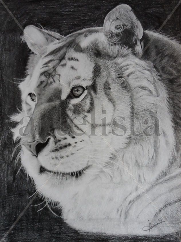 Golden Tiger