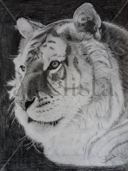 Golden Tiger Pencil