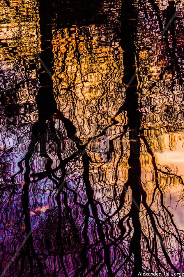 REFLEJO
