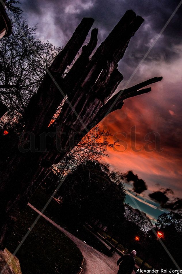 ÁRBOL DE ÁVILES