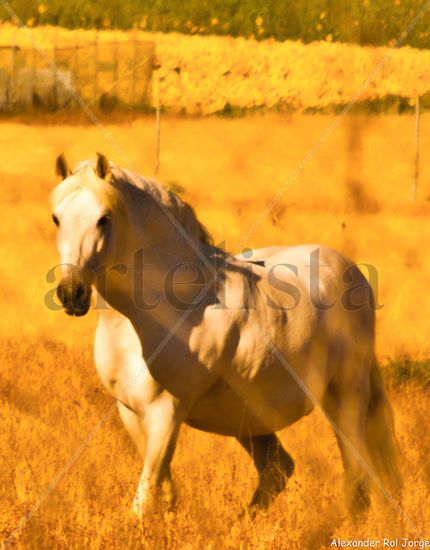 CABALLO BLANCO Naturaleza Color (Química)