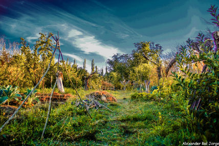 Huerta