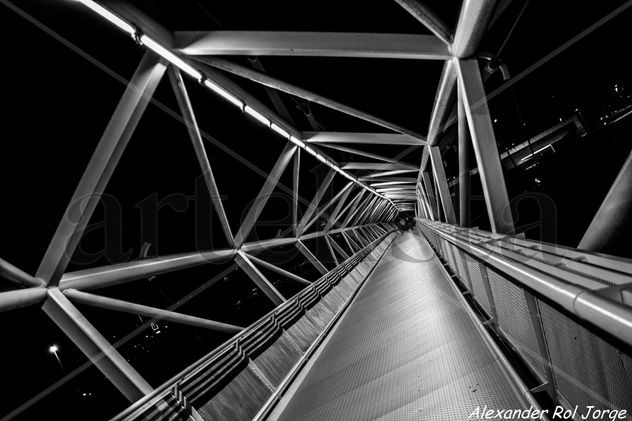 TUNEL METALICO