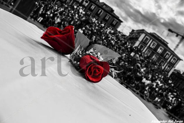 ROSAS TEATRALES
