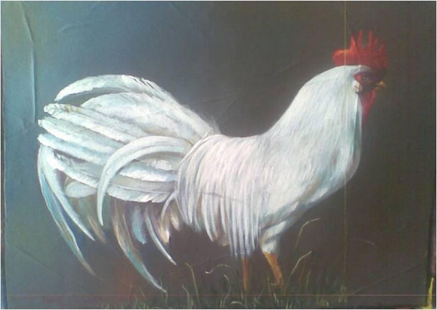 Gallo Blanco Acrylic Canvas Animals