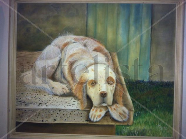 Viejo, solo y muy triste Oil Canvas Animals