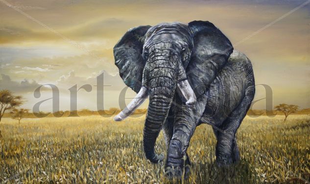 Elefante Africano Óleo Lienzo Animales