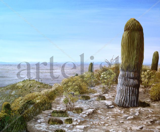 Guardianes del altiplano