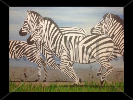 Zebras en el prado