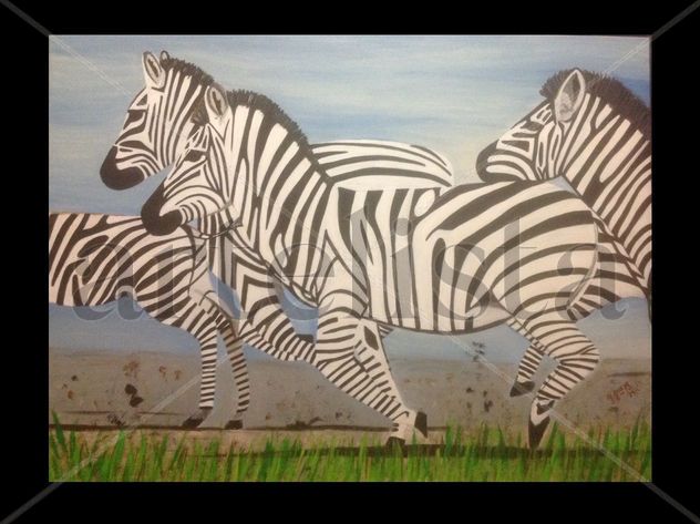 Zebras en el prado