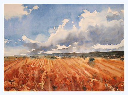 Viñedos