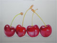 Cherries