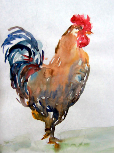 Gallo    Larfeuil Acuarela Papel Animales