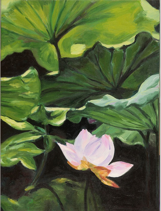 lotus
