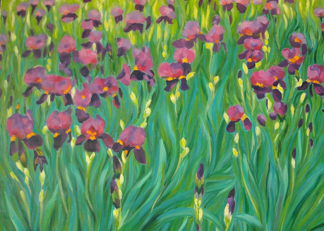 los irises