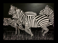 Zebras en la noche