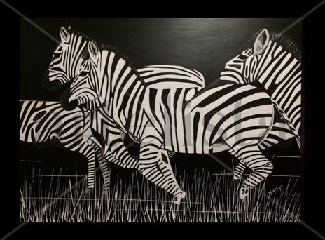 Zebras en la noche
