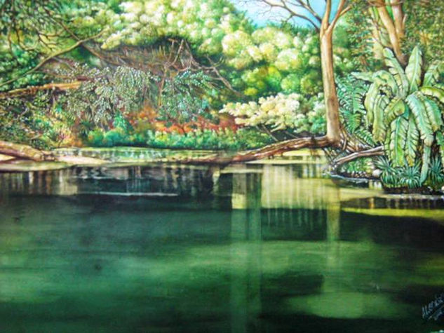 Estero llanero Watercolour Paper Landscaping