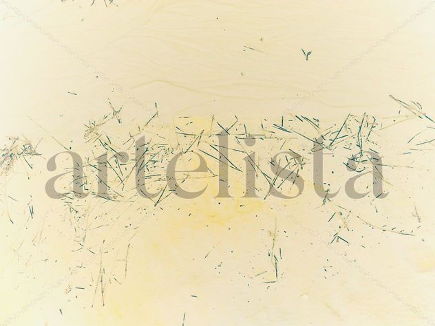 Escritura sagrada