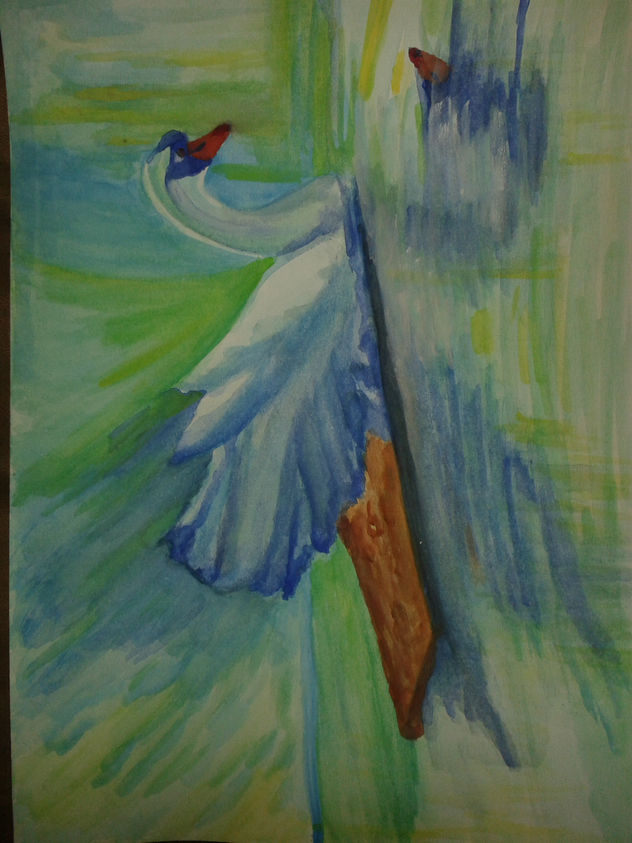 cisne