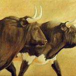 animales thumbnail 1