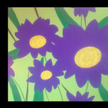 flores thumbnail 2