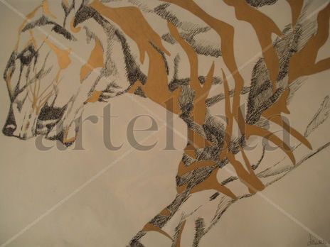 Tigre 001