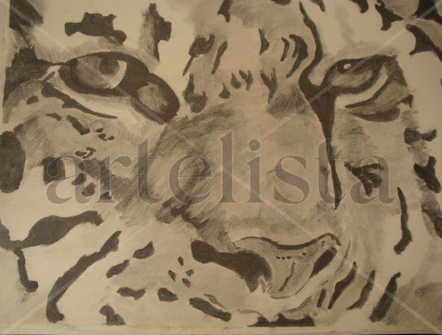 TIGRE 003 Graphite