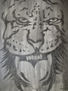 TIGRE 004