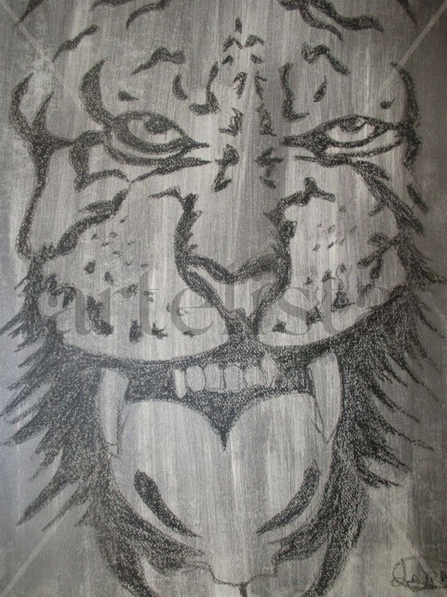 TIGRE 004
