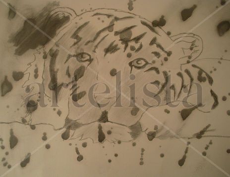 Tigre 005