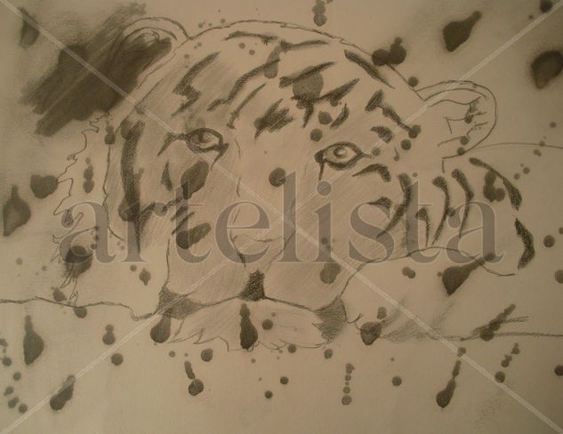 TIGRE 005 Graphite