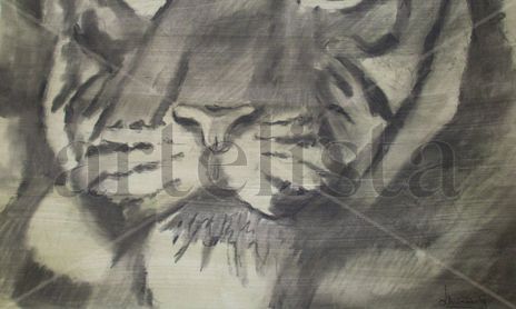 "MIRADAS FELINAS"(2011)