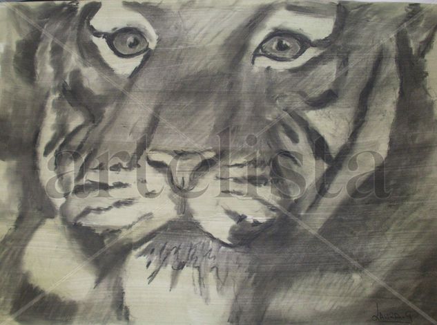 TIGRE 006 Charcoal