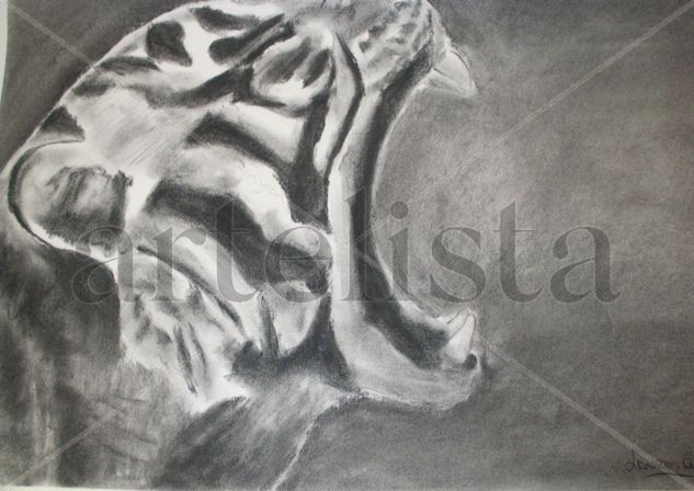 TIGRE 008 Charcoal