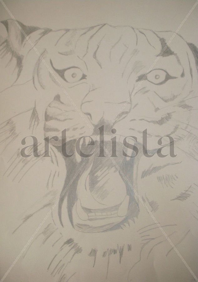 TIGRE 009