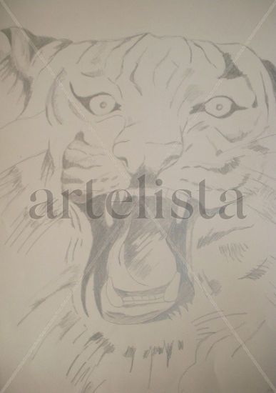 TIGRE 009 Pencil