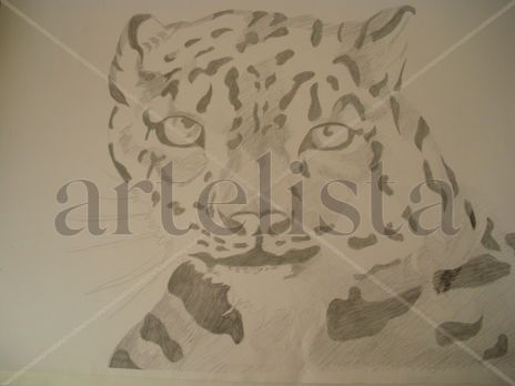 Tigre 010