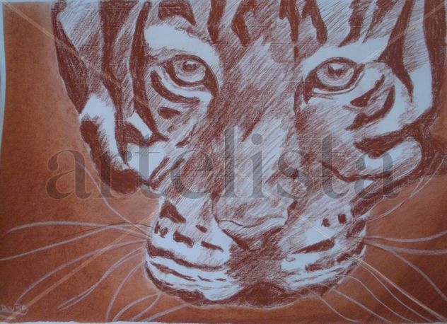 TIGRE 014