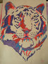 TIGRE 016
