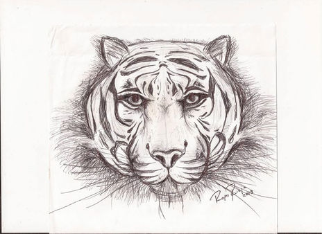 Tigre