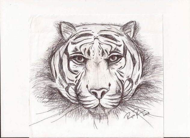 Tigre
