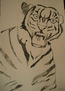 TIGRE 020