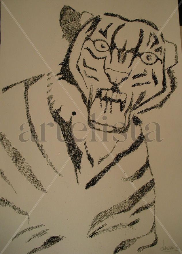 TIGRE 020
