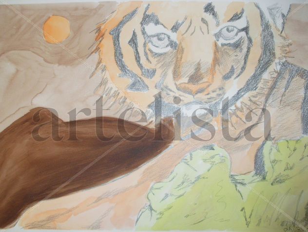 TIGRE 024