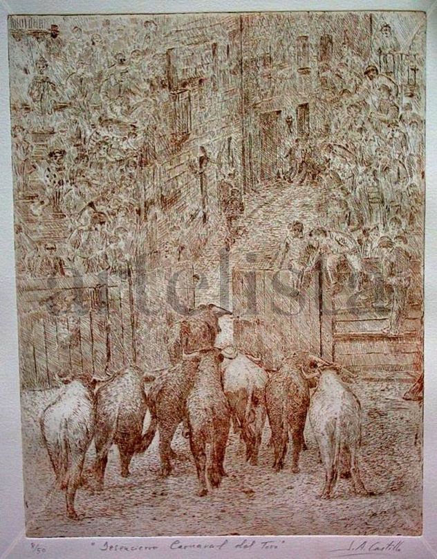 "Desencierro, Carnaval del Toro"