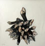 Percebes