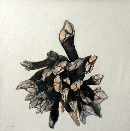 Percebes Oil Canvas Still Life Paintings