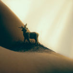 Paisajes humanos thumbnail 2